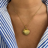Secret Sea Necklace (You can put something in the shell 🤫)