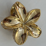 Season Gold Hair Clip