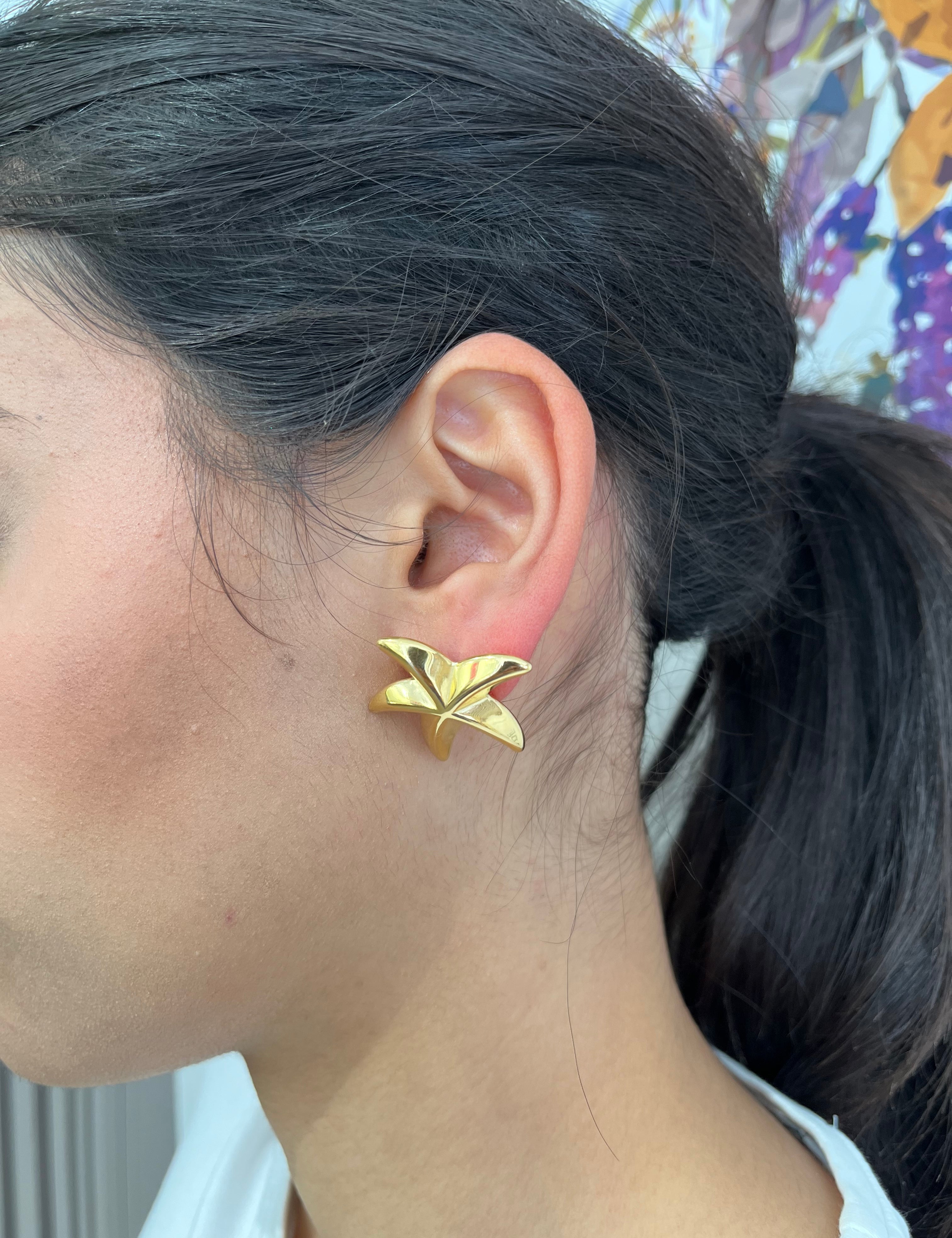 Puce d'oreille Mer dorée en étoile de mer, vue de profil - Ordiajade