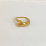 Anillo Pola